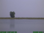 1368R0015133_tag.jpg