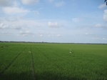 15650IMG_4722.JPG