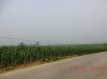 33147CIMG2383.JPG