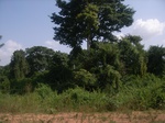 8975RIMG0050.JPG