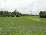 22038DSC00161.JPG