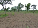 18625P1000463.JPG