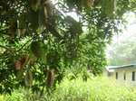 48037CIMG4374.JPG