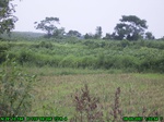 873R0015395_tag.jpg