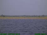 1504R0015201_tag.jpg