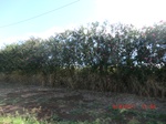 36272CIMG3471.JPG
