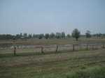 34508IMG_5491.JPG