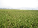 14999IMG_3809.JPG