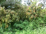 50960CIMG0849.JPG