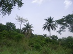 3739RIMG0042.JPG