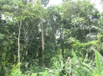 49418CIMG5755.JPG