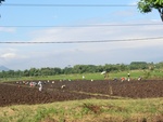 31401CIMG1264.JPG