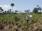 12146GT144_pepe_on_mounds_near_valley_bottom.jpg