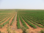 55277CIMG1330.JPG