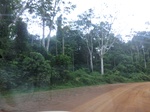 47572CIMG3909.JPG