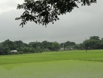 22078DSC00313.JPG