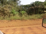 47455CIMG3792.JPG