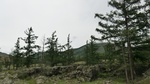 34144CIMG2355.JPG