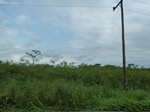 25933P1020352.JPG