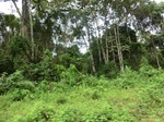 47533CIMG3870.JPG