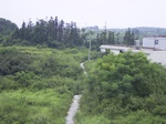925R0015413.jpg