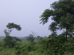 477R0015023.jpg