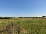 24709DSC01133.JPG