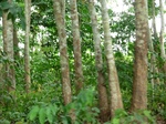 50551CIMG1180.JPG