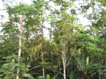 14626IMG_5005.JPG