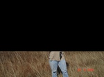 10799gt-002-wetland-seasonal-pan-02.jpg