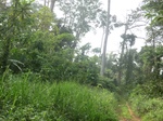 48064CIMG4401.JPG