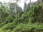 47589CIMG3926.JPG