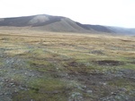 22823P1020059.JPG