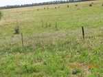 29670CIMG0960.JPG