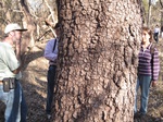 8625IMG_1250.JPG