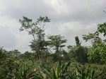 49566CIMG5903.JPG