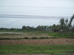 34371IMG_5285.JPG