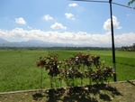 30212CIMG1746.JPG