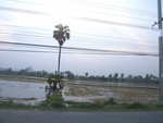 27794RIMG0092.JPG