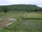33397RIMG0137.JPG