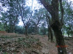 53165CIMG4777_调整大小.JPG