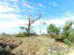 39835DSC01145.JPG