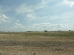 35552DSC02049.JPG
