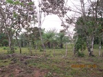 31909IMG_5330.JPG