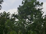 48870CIMG5207.JPG