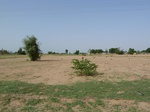 19100P1000945.JPG