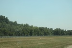 2024-06-17_22-14-50_0A00EBDF-44A5-4AA1-BC21-6B5FA3731D3C.jpeg