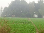 40146CIMG9212.JPG