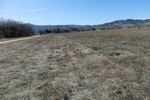 43603CIMG0435.JPG