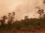 54833Berau (123).JPG